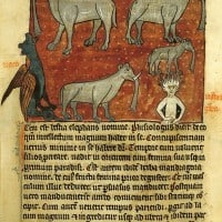 מדריך ימי הביניים