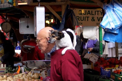 איש זקן עם כלב בשוק פורטובלו בלונדון