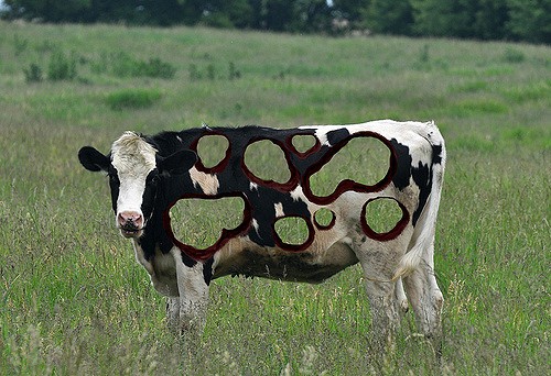 אמנות פרות