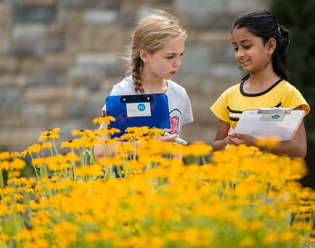 ילדות אמריקניות לומדות על מספרי פיבונצ'י מהתבוננות בטבע.