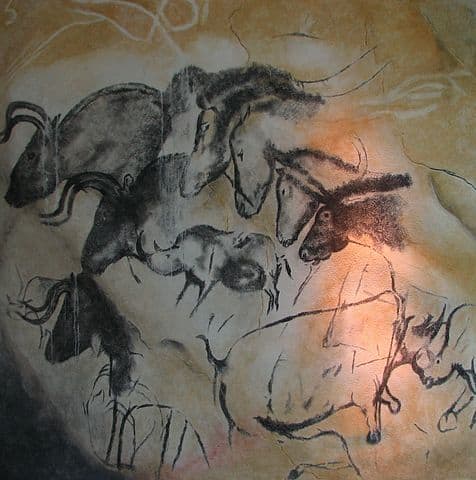 ציור קיר במערת שובה, שחזור, Chauvet