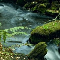 נהר זורם בין אבנים וצמחייה