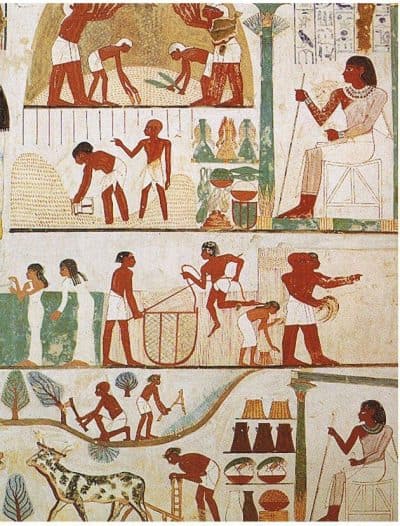 מצרים העתיקה, עבודה חקלאית