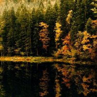 יער, אגם, בוואריה