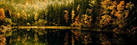 יער, אגם, בוואריה