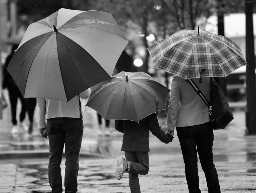משפחה, מטריות, גשם