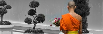 נזיר בודהיסטי, בונזאי, פרחים