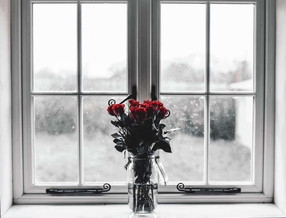 ורדים, חלון, זר, אגרטל