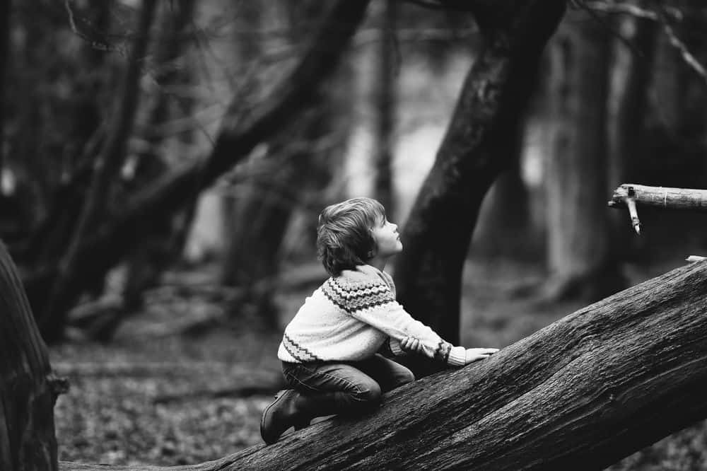 עץ, לטפס, טיפוס, ילד, כרות