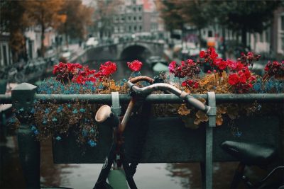 אמסטרדם, פרחים, תעלה, אופניים