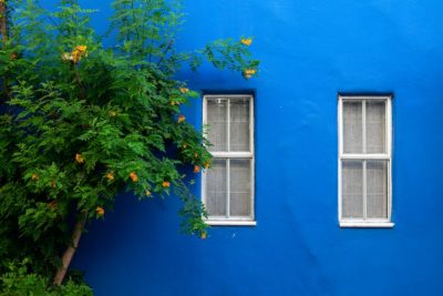 בניין כחול, כחול, חלונות, עץ, פרחים