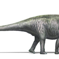 ברונטוזאורוס