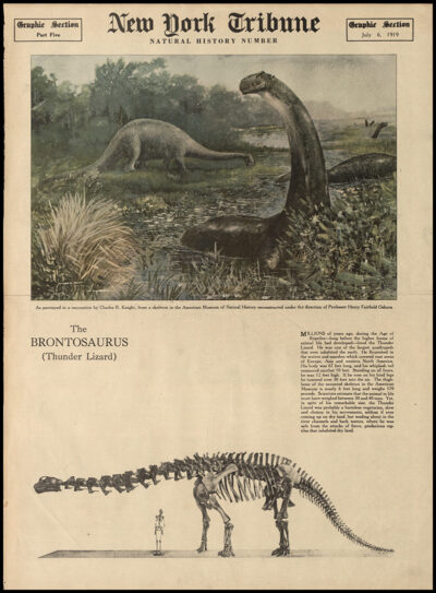 ברונטוזאורוס, ניו יורק טריביון, צ'רלס נייט, 1919
