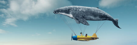 לווייתן מעופף, מטוס, ילדים