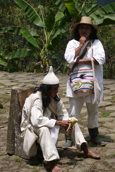 בני קוגי, קולומביה, מאמו